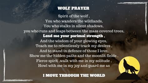 Divine wolf magic begin now meaning